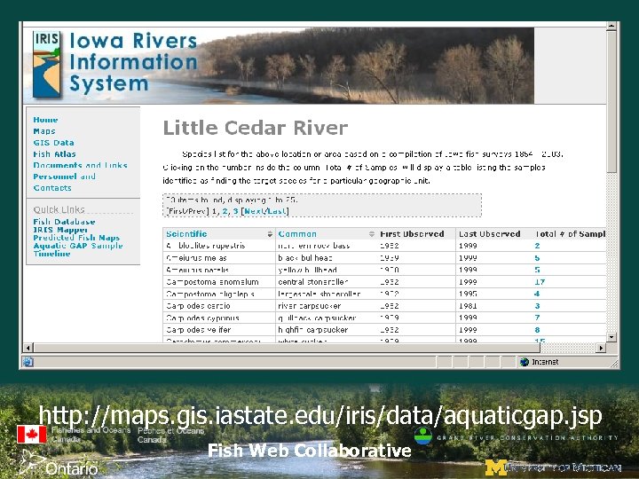 http: //maps. gis. iastate. edu/iris/data/aquaticgap. jsp Fish Web Collaborative 