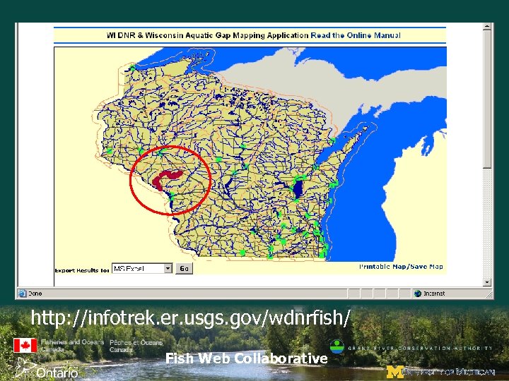 http: //infotrek. er. usgs. gov/wdnrfish/ Fish Web Collaborative 