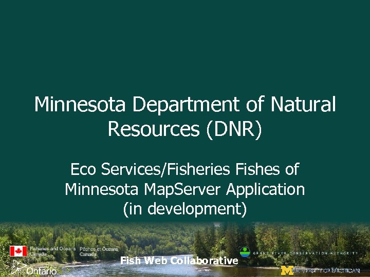 Minnesota Department of Natural Resources (DNR) Eco Services/Fisheries Fishes of Minnesota Map. Server Application