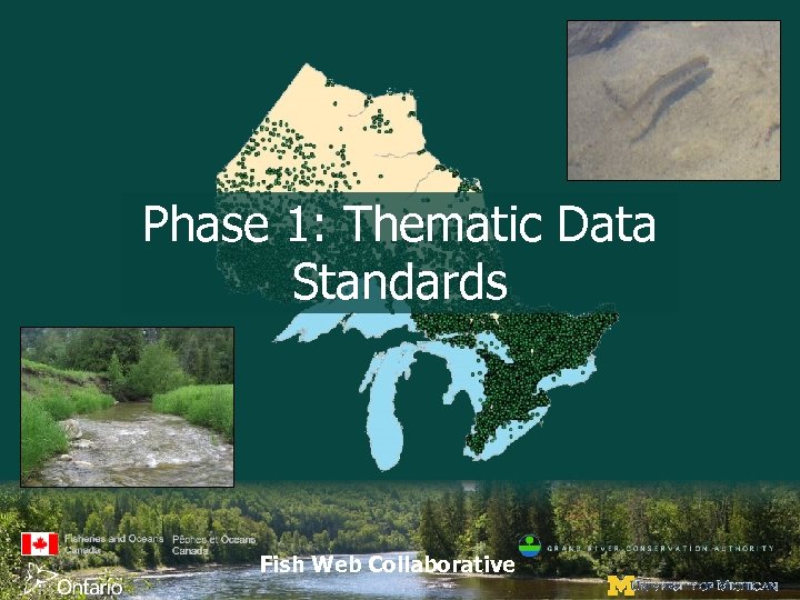 Phase 1: Thematic Data Standards Fish Web Collaborative 