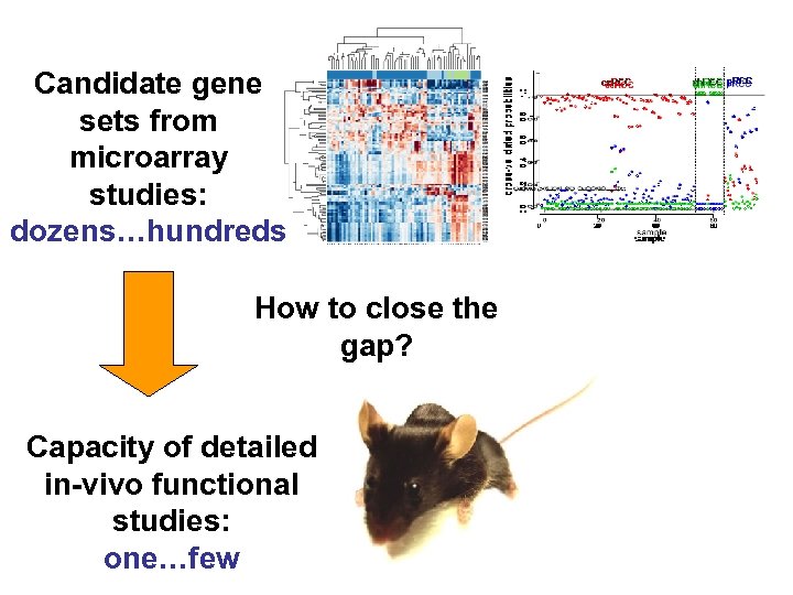 Candidate gene sets from microarray studies: dozens…hundreds How to close the gap? Capacity of