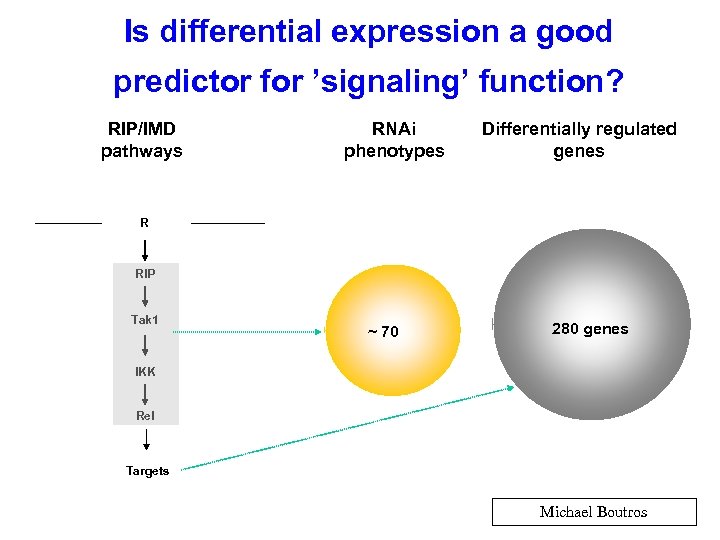 Is differential expression a good predictor for ’signaling’ function? RIP/IMD pathways RNAi phenotypes Differentially