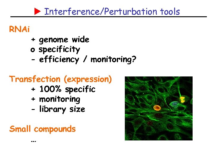  Interference/Perturbation tools RNAi + genome wide o specificity - efficiency / monitoring? Transfection