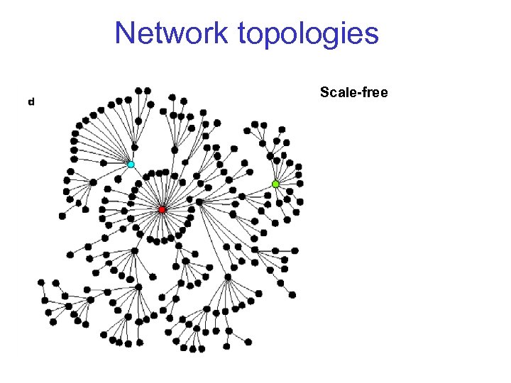Network topologies Scale-free 
