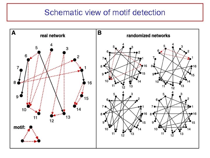 Schematic view of motif detection 