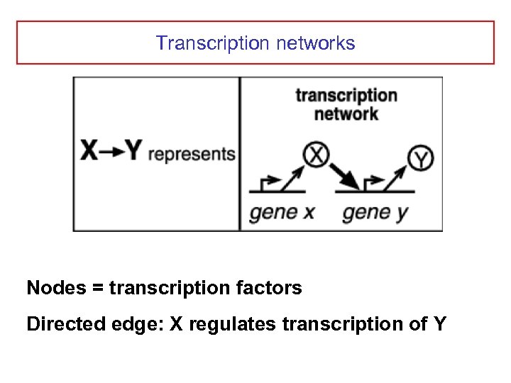 Transcription networks Nodes = transcription factors Directed edge: X regulates transcription of Y 