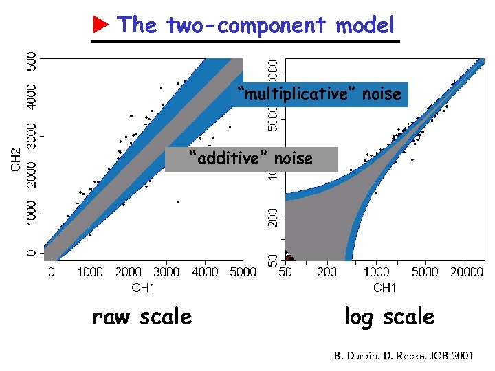  The two-component model “multiplicative” noise “additive” noise raw scale log scale B. Durbin,