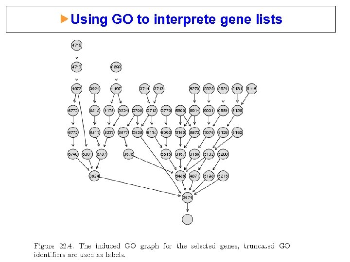  Using GO to interprete gene lists 