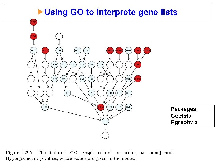 Using GO to interprete gene lists Packages: Gostats, Rgraphviz 
