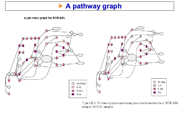  A pathway graph 
