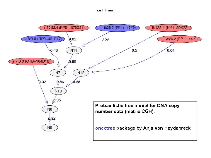 Probabilistic tree model for DNA copy number data (matrix CGH). oncotree package by Anja