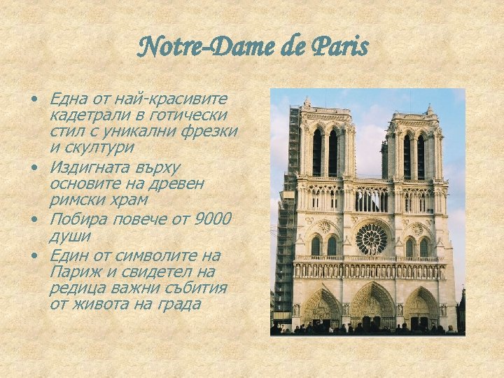 Notre-Dame de Paris • Една от най-красивите кадетрали в готически стил с уникални фрезки