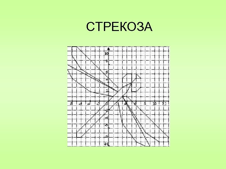 СТРЕКОЗА 