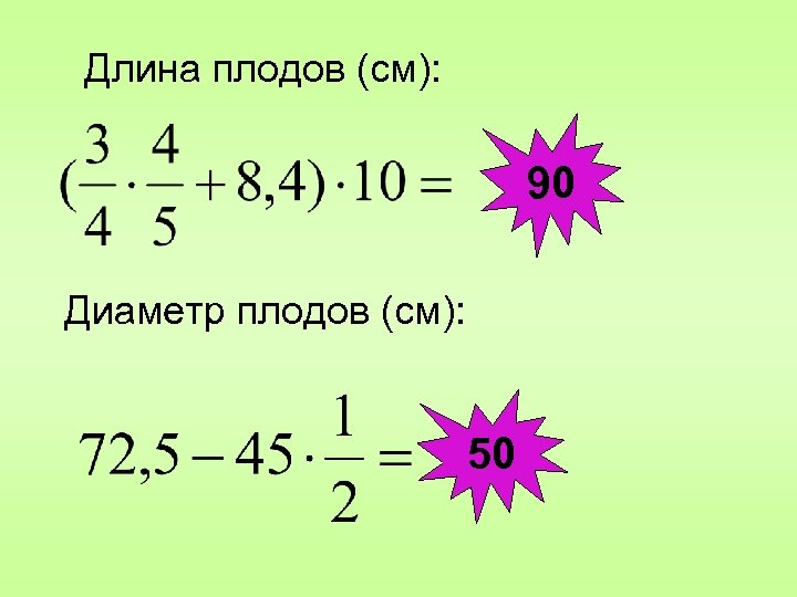 Длина плодов (см): 90 Диаметр плодов (см): 50 