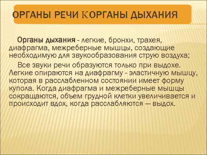ОРГАНЫ РЕЧИ К ОРГАНЫ ДЫХАНИЯ Органы дыхания - легкие, бронхи, трахея, диафрагма, межреберные мышцы,