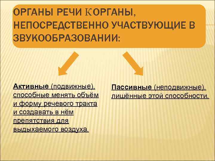 ОРГАНЫ РЕЧИ К ОРГАНЫ, НЕПОСРЕДСТВЕННО УЧАСТВУЮЩИЕ В ЗВУКООБРАЗОВАНИИ: Активные (подвижные), способные менять объём и