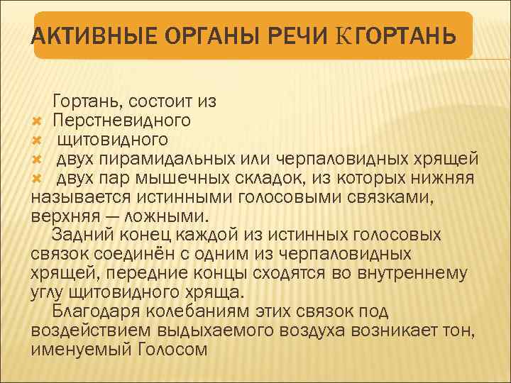АКТИВНЫЕ ОРГАНЫ РЕЧИ К ГОРТАНЬ Гортань, состоит из Перстневидного щитовидного двух пирамидальных или черпаловидных