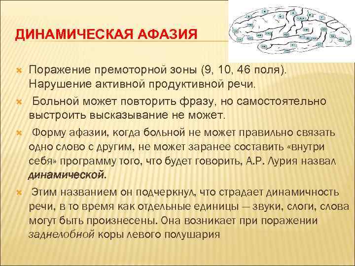 ДИНАМИЧЕСКАЯ АФАЗИЯ Поражение премоторной зоны (9, 10, 46 поля). Нарушение активной продуктивной речи. Больной