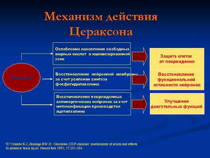 Механизм действия Цераксона Ослабление накопления свободных жирных кислот в ишемизированной зоне Цераксон Восстановление нейронной