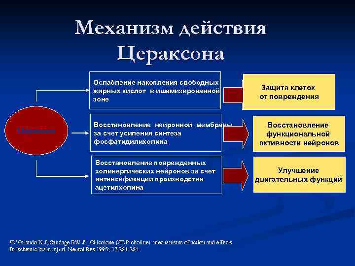Механизм действия Цераксона Ослабление накопления свободных жирных кислот в ишемизированной зоне Цераксон Защита клеток