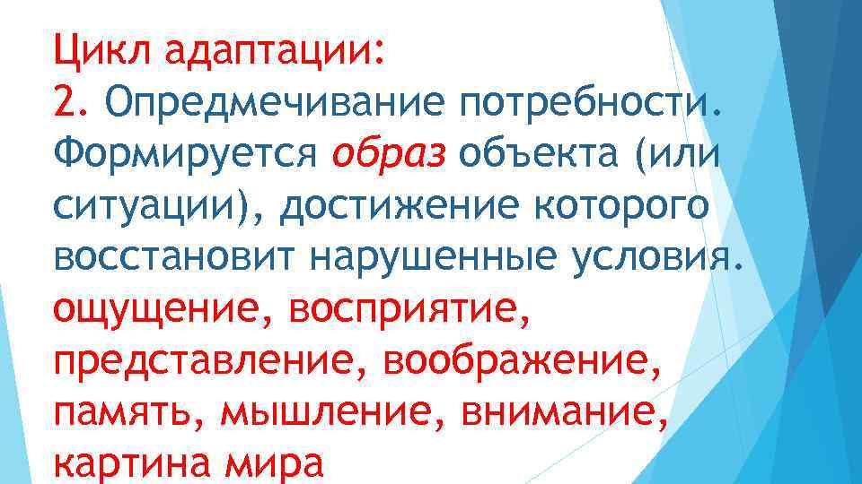 Цикл адаптации: 2. Опредмечивание потребности. Формируется образ объекта (или ситуации), достижение которого восстановит нарушенные