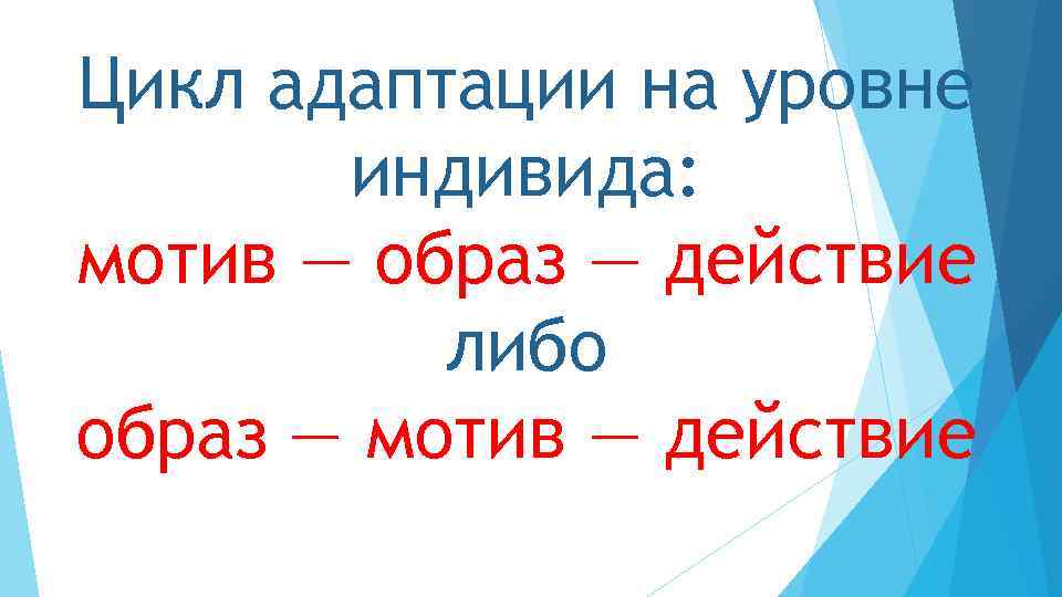 Цикл адаптации на уровне индивида: мотив — образ — действие либо образ — мотив