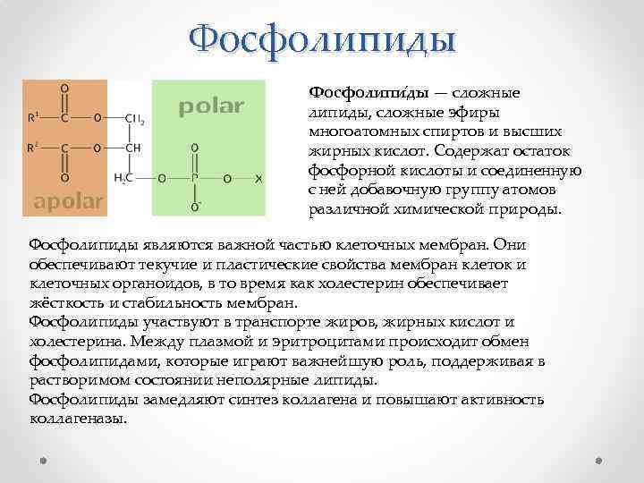 Фосфолипиды Фосфолипи ды — сложные липиды, сложные эфиры многоатомных спиртов и высших жирных кислот.