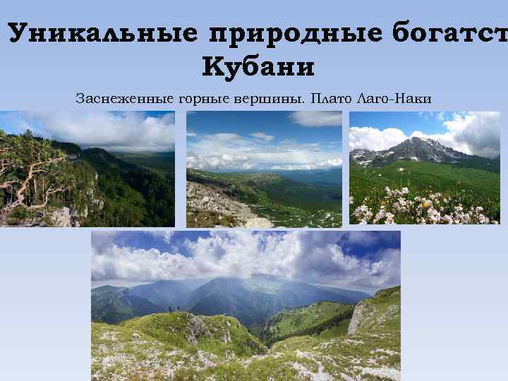 Уникальные природные богатст Кубани Заснеженные горные вершины. Плато Лаго-Наки 