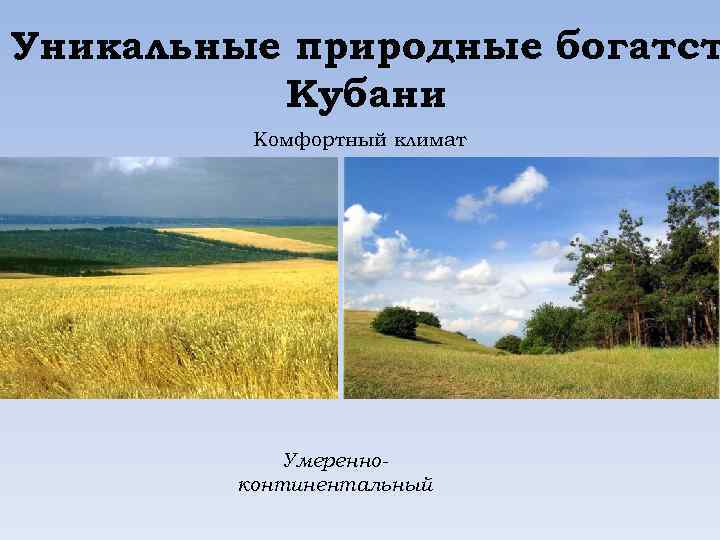 Уникальные природные богатст Кубани Комфортный климат Умеренноконтинентальный 