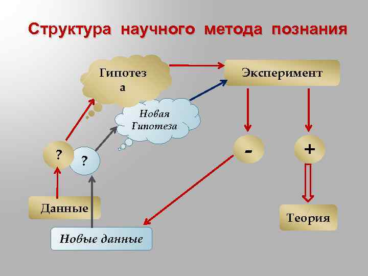 Структура научного метода познания Гипотез а Эксперимент Новая Гипотеза ? ? Данные Новые данные