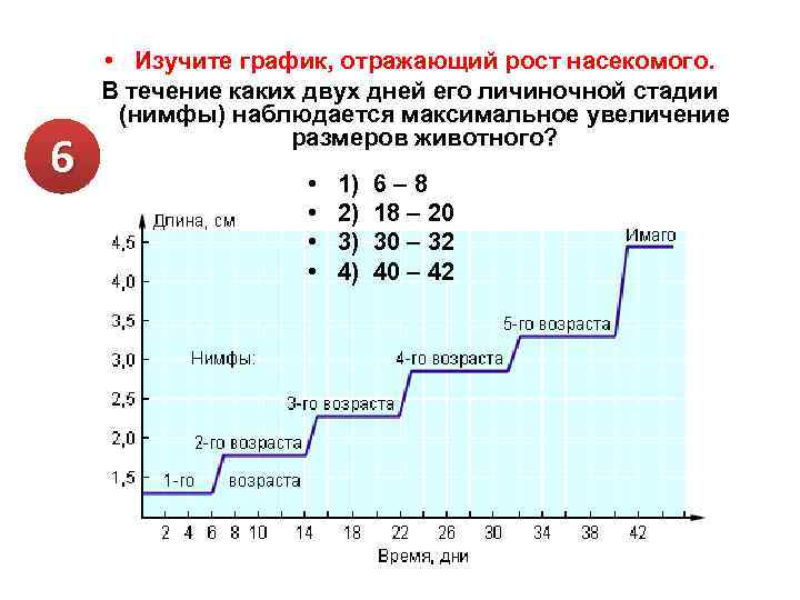 6 • Изучите график, отражающий рост насекомого. В течение каких двух дней его личиночной