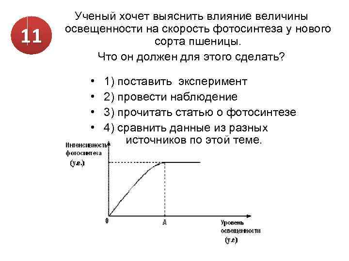 11 Ученый хочет выяснить влияние величины освещенности на скорость фотосинтеза у нового сорта пшеницы.