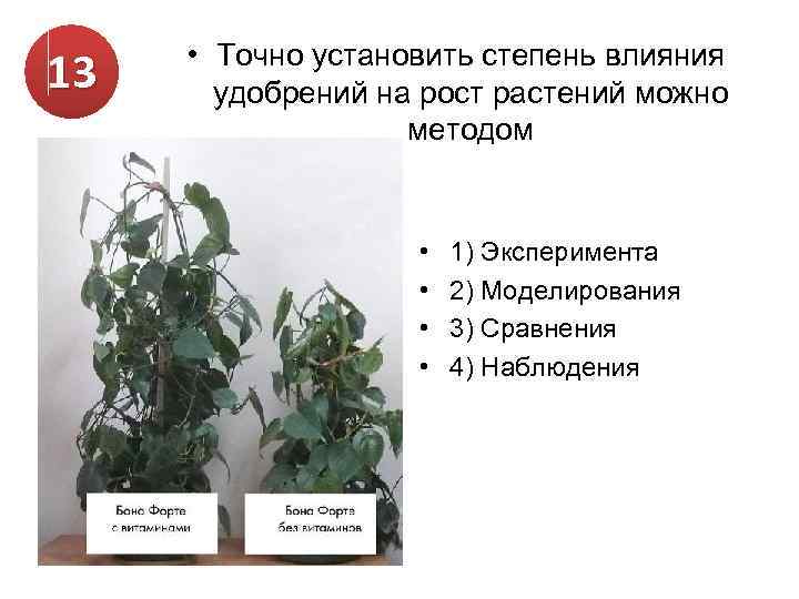 13 • Точно установить степень влияния удобрений на рост растений можно методом • •