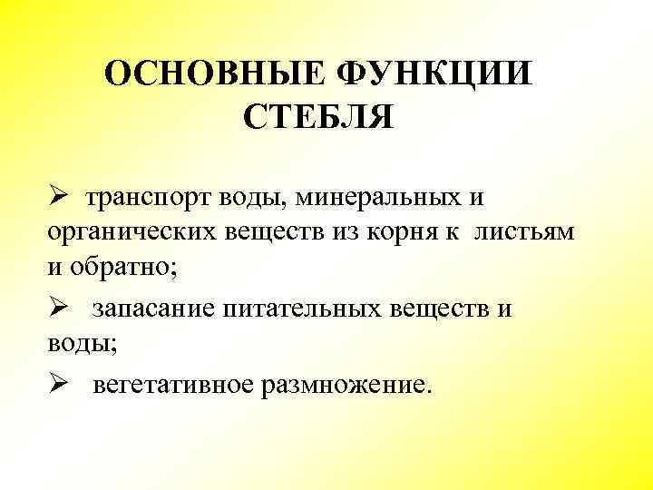 Функции стебля. Основные функции стебля. Какие основные функции стебля. Перечислите основные функции стебля растения. Каковы основные функции стебля 7 класс.