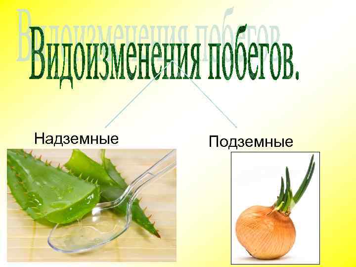 Надземные Подземные 