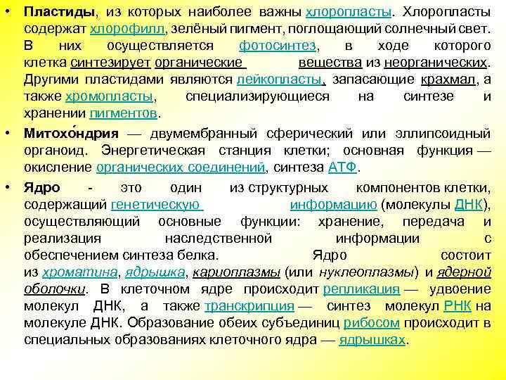  • Пластиды, из которых наиболее важны хлоропласты. Хлоропласты содержат хлорофилл, зелёный пигмент, поглощающий