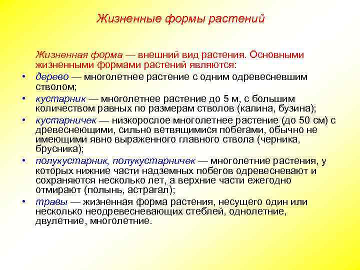 Жизненные формы растений • • • Жизненная форма — внешний вид растения. Основными жизненными