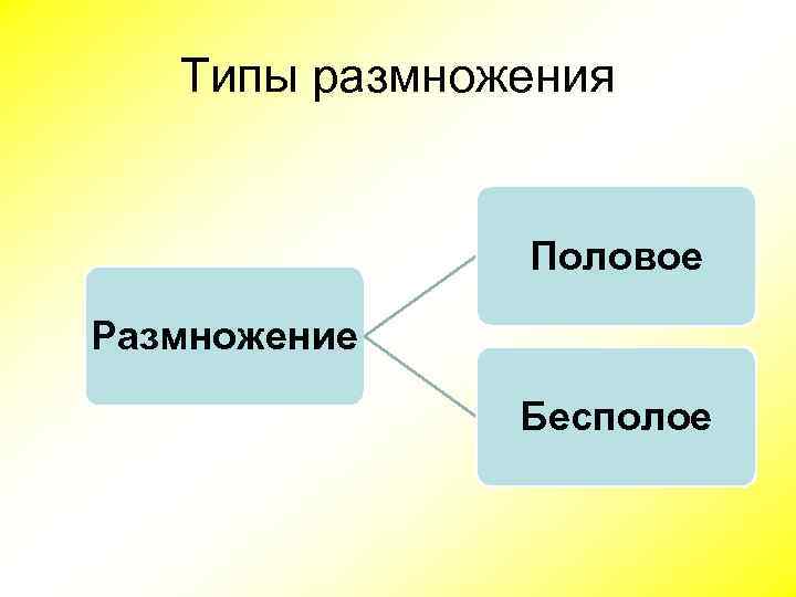 Типы размножения Половое Размножение Бесполое 