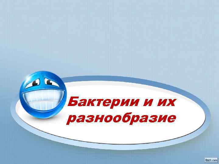 Бактерии и их разнообразие 