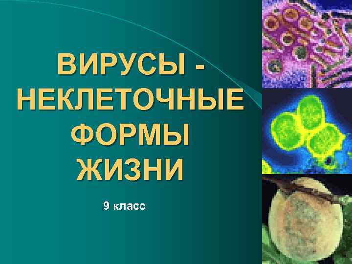 ВИРУСЫ НЕКЛЕТОЧНЫЕ ФОРМЫ ЖИЗНИ 9 класс 