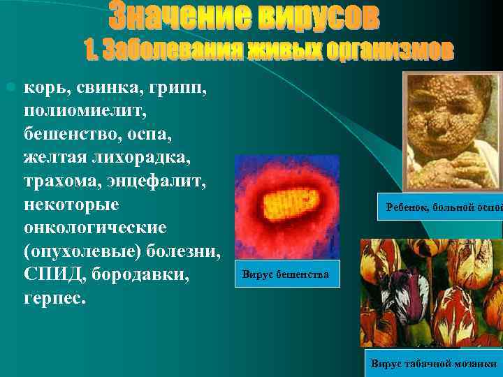 l корь, свинка, грипп, полиомиелит, бешенство, оспа, желтая лихорадка, трахома, энцефалит, некоторые онкологические (опухолевые)