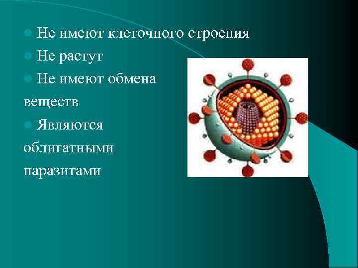 l Не имеют клеточного строения l Не растут l Не имеют обмена веществ l