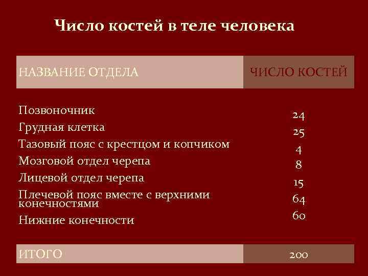 Число костей в теле человека НАЗВАНИЕ ОТДЕЛА ЧИСЛО КОСТЕЙ Позвоночник Грудная клетка Тазовый пояс