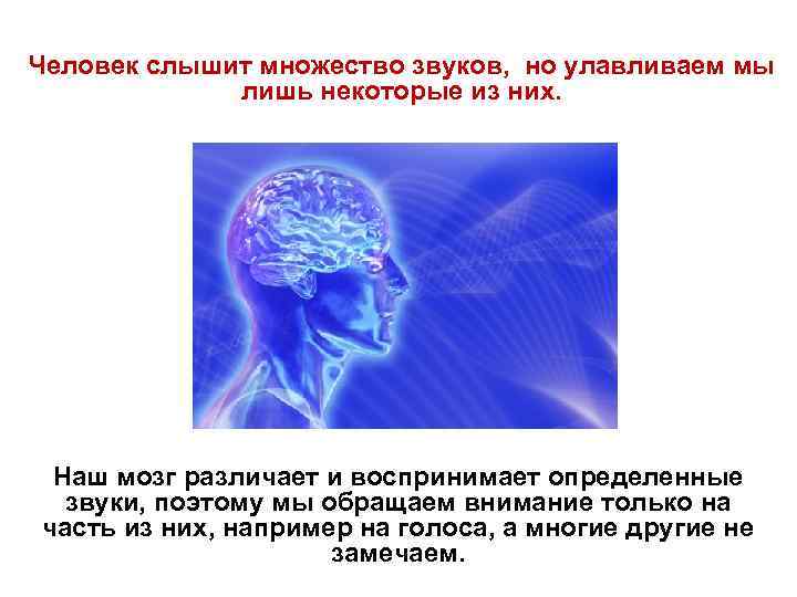 Человек слышит множество звуков, но улавливаем мы лишь некоторые из них. Наш мозг различает