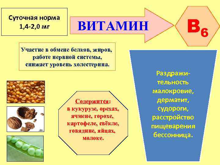 Суточная норма 1, 4 -2, 0 мг ВИТАМИН B 6 Участие в обмене белков,