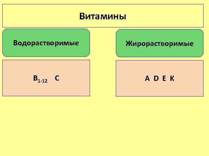 Витамины Водорастворимые Жирорастворимые В 1 -12 С А D E K 