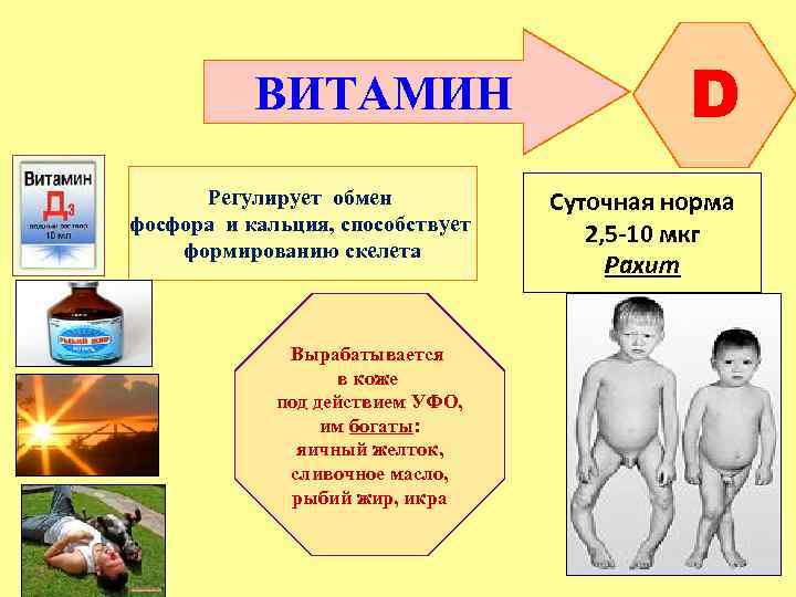 ВИТАМИН Регулирует обмен фосфора и кальция, способствует формированию скелета Вырабатывается в коже под действием