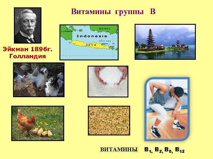 Витамины группы В Эйкман 1896 г. Голландия ВИТАМИНЫ: B 1, B 2, B 6,