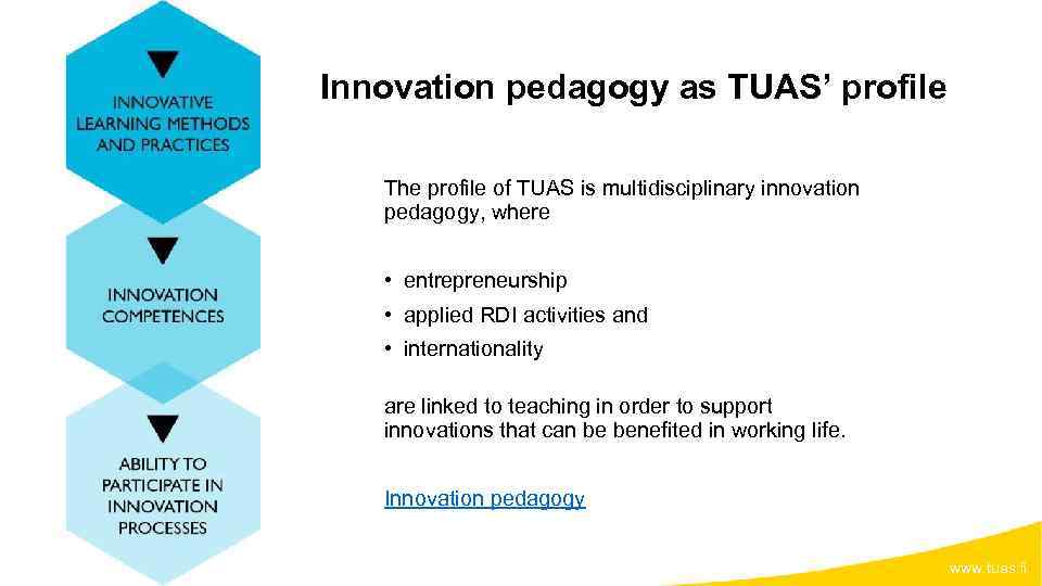 Innovation pedagogy as TUAS’ profile The profile of TUAS is multidisciplinary innovation pedagogy, where