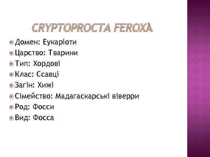  Домен: Еукаріоти Царство: Тварини Тип: Хордові Клас: Ссавці Загін: Хижі Сімейство: Мадагаскарські Род: